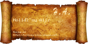 Hollósy Aliz névjegykártya
